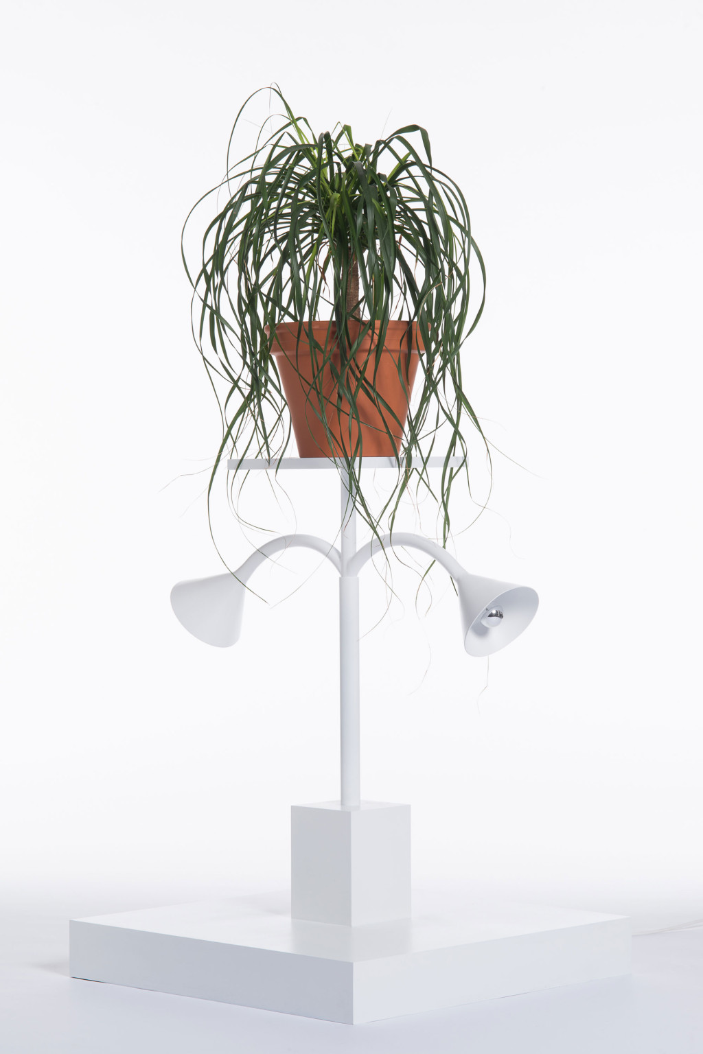 Design is Ten Years Old