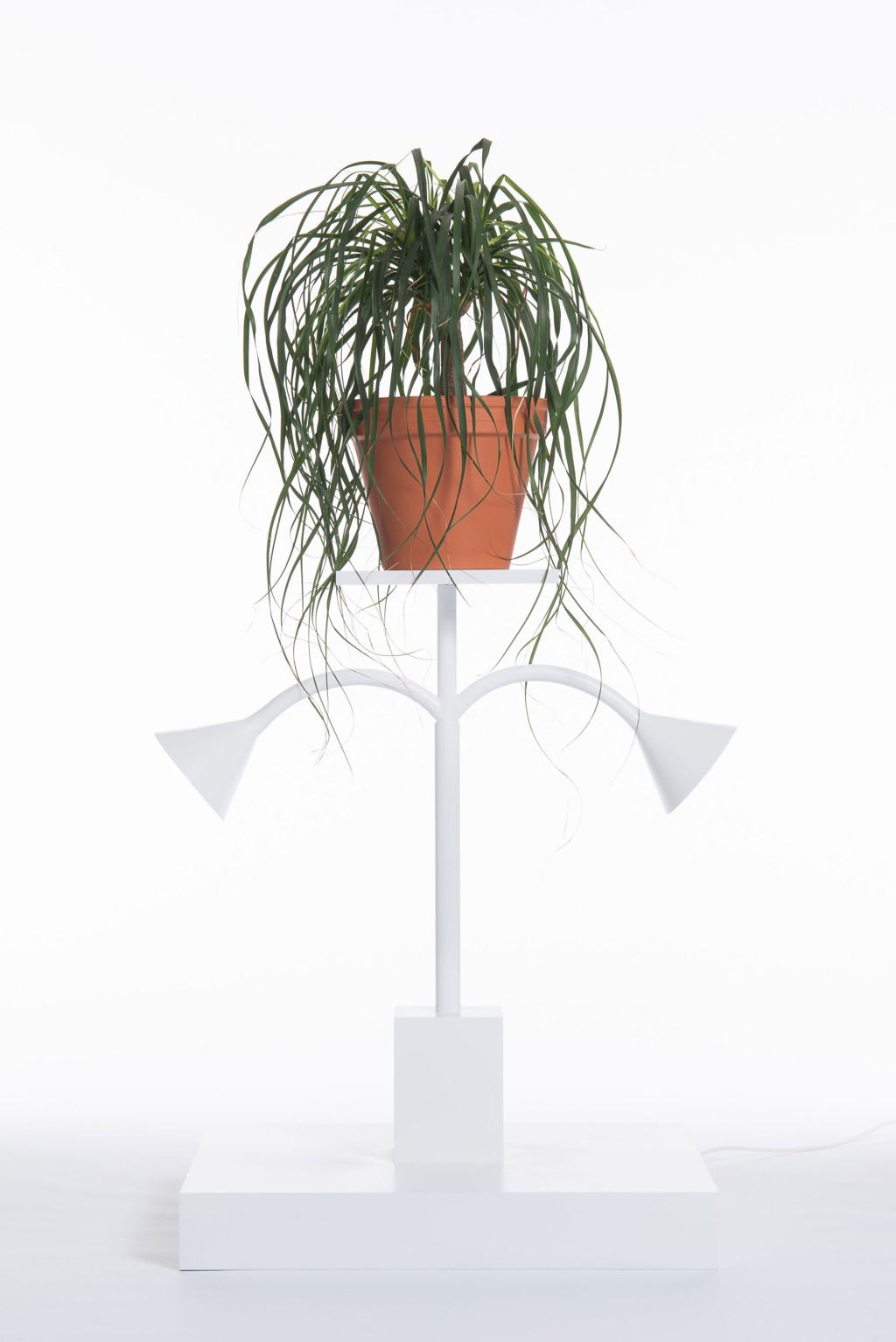 Design is Ten Years Old