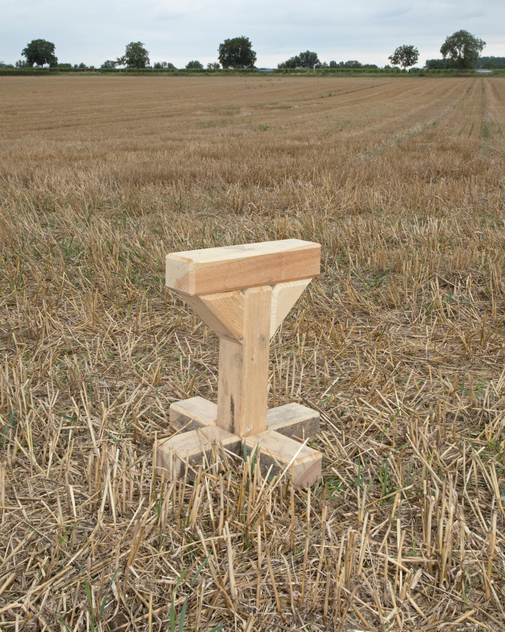 Well Seasoned Firewood