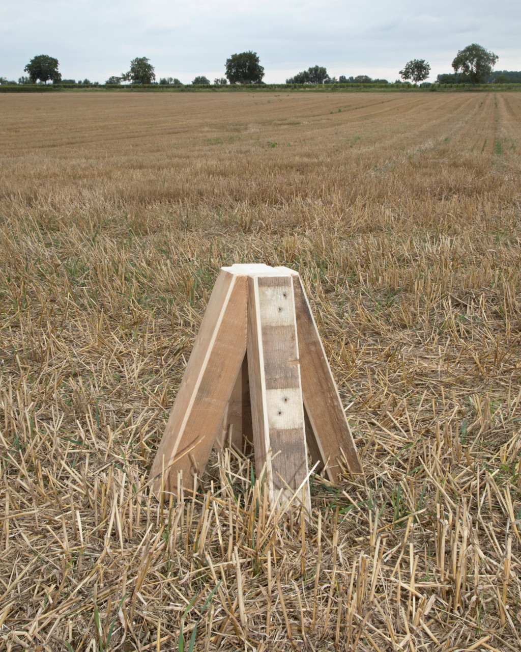 Well Seasoned Firewood